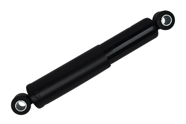 ASAM 55099 amortizor