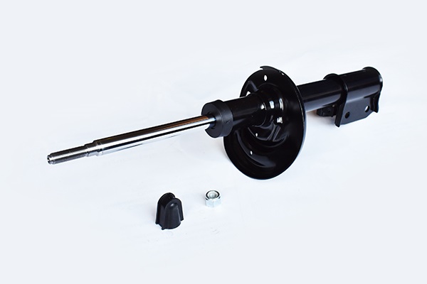 ASAM 55253 amortizor