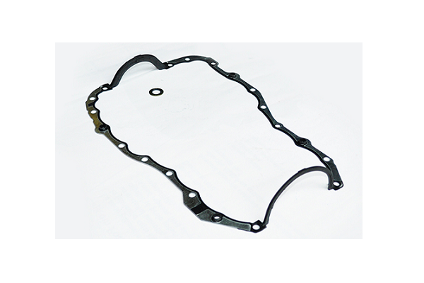 ASAM 55263 Garnitura baie ulei