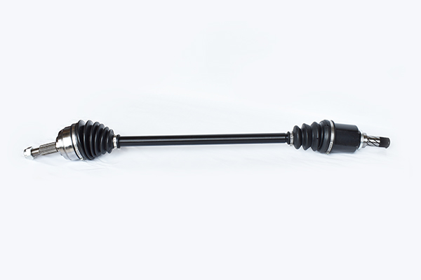 ASAM 55274 Planetara