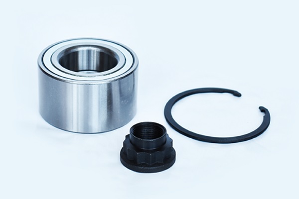 ASAM 55641 Set rulment roata