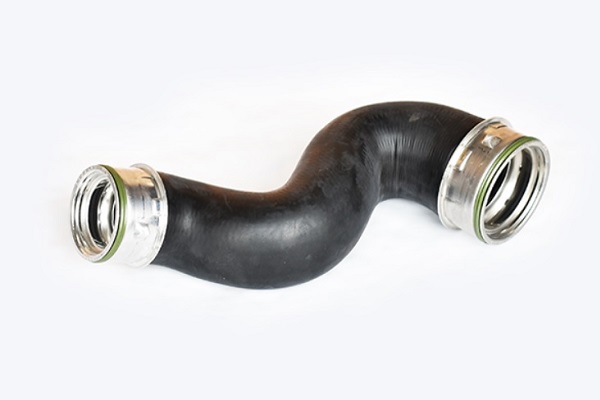 ASAM 55667 Furtun ear...