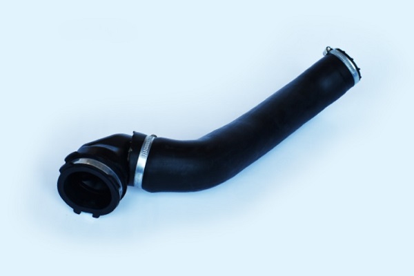 ASAM 55669 Furtun ear...