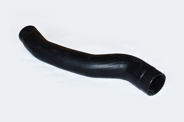 ASAM 55670 Furtun ear...