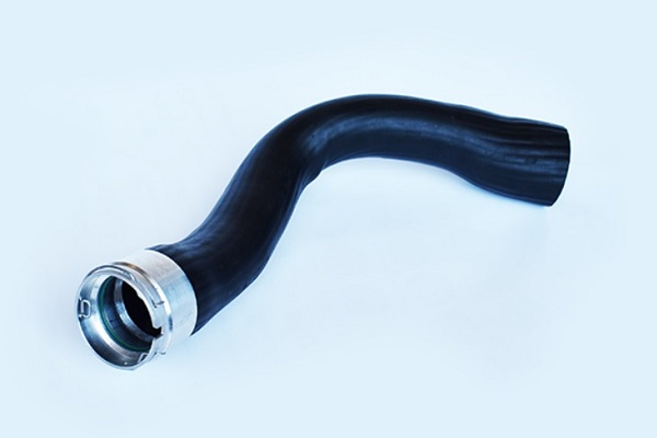 ASAM 55678 Furtun ear...