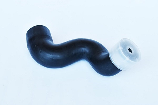 ASAM 55681 Furtun ear...