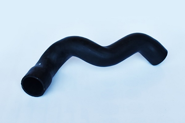 ASAM 55682 Furtun ear...