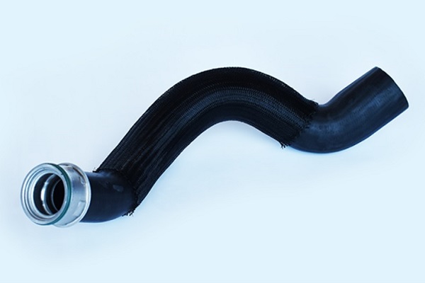 ASAM 55683 Furtun ear...