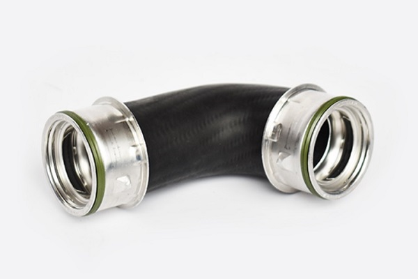 ASAM 55689 Furtun ear...