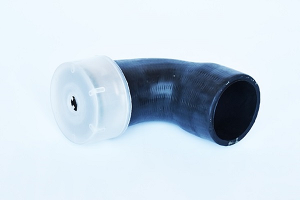 ASAM 55696 Furtun ear...