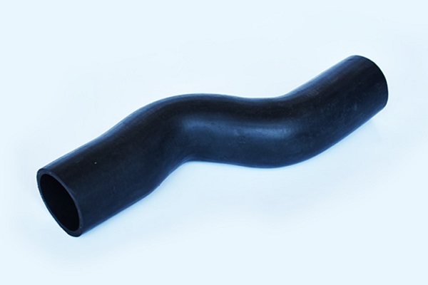 ASAM 55698 Furtun ear...