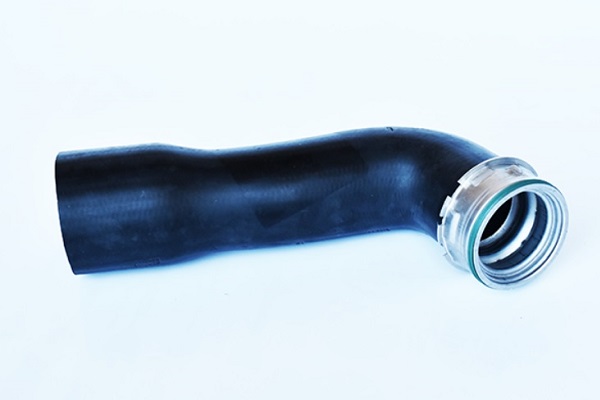 ASAM 55701 Furtun ear...