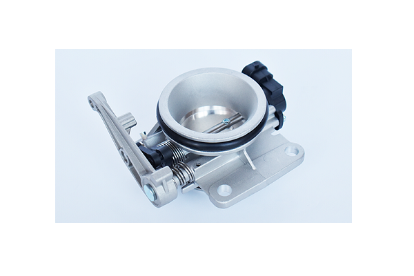 ASAM 55798 Carcasa clapeta