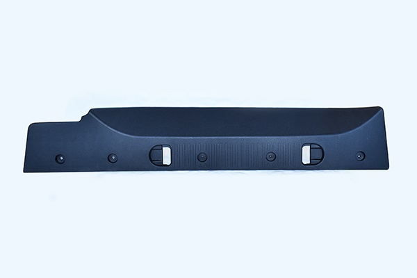 ASAM 55813 Protectie...