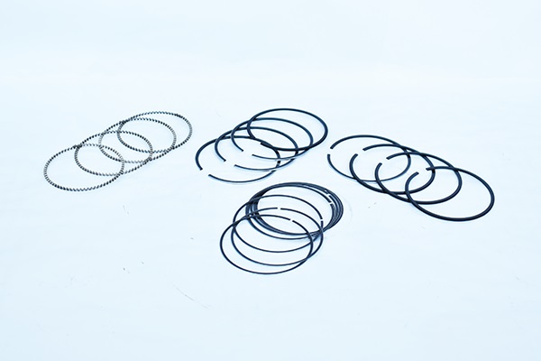 ASAM 55838 Set segmenti piston