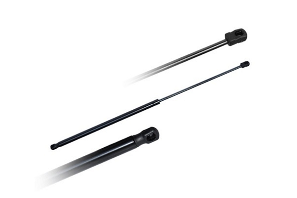 ASAM 56300 Amortizor portbagaj