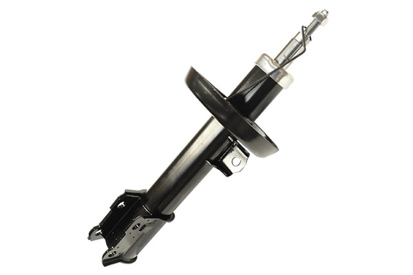 ASAM 70398 amortizor