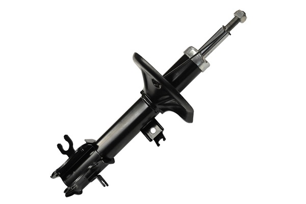 ASAM 70410 amortizor