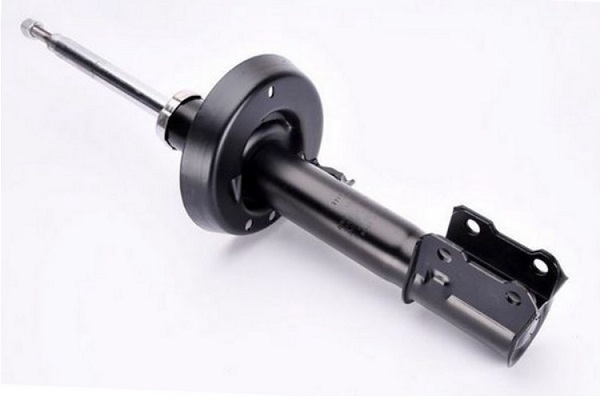 ASAM 70874 amortizor