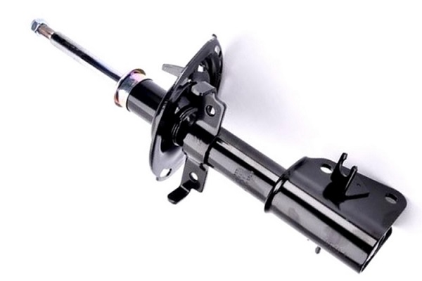 ASAM 70893 amortizor