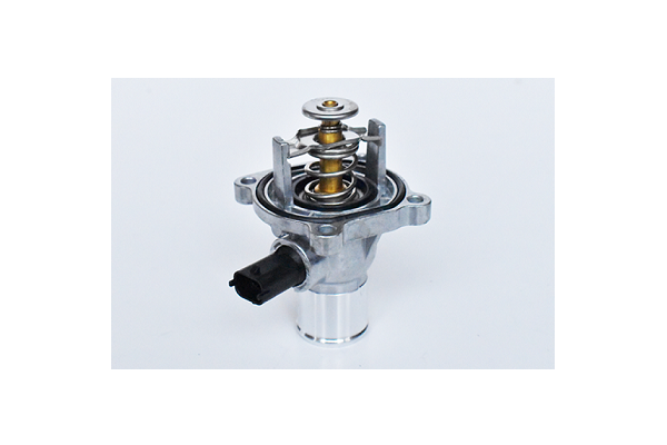 ASAM 73300 termostat,lichid...