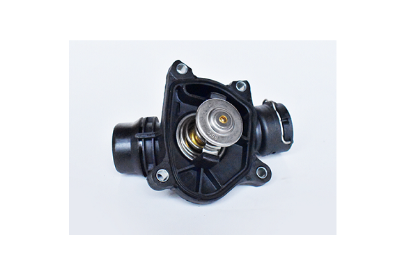 ASAM 73302 termostat,lichid...