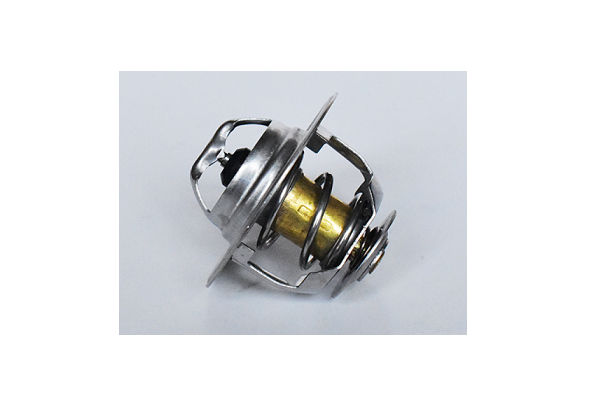 ASAM 73350 termostat,lichid...