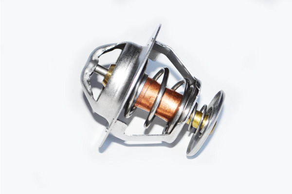 ASAM 73367 termostat,lichid...