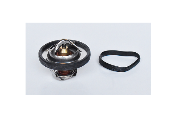 ASAM 73379 termostat,lichid...