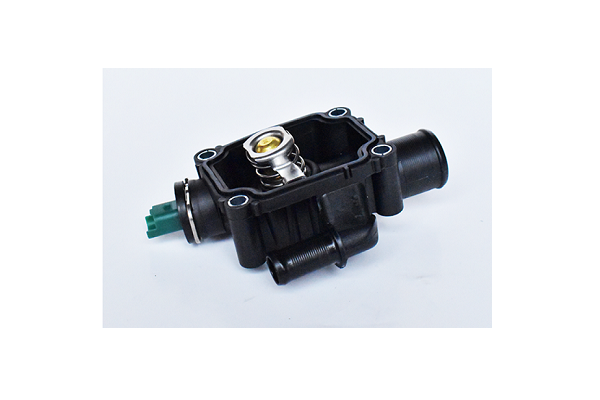 ASAM 73396 termostat,lichid...