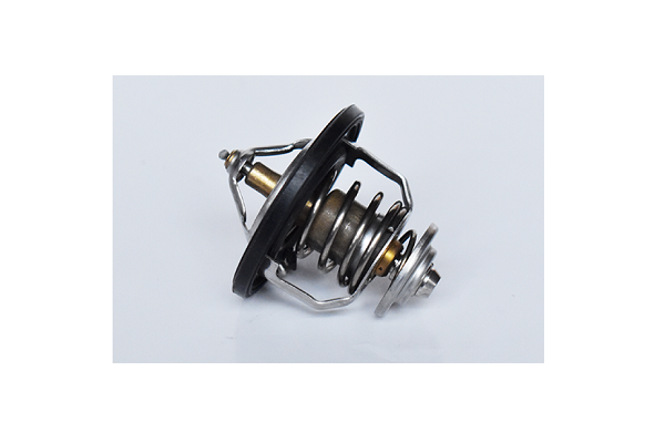 ASAM 73397 termostat lichid...