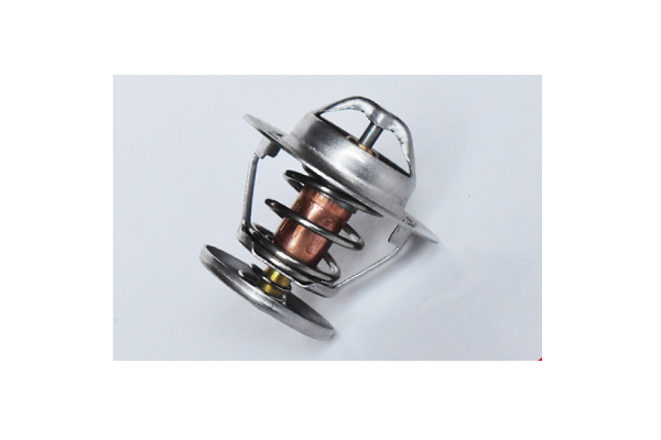ASAM 73400 termostat,lichid...