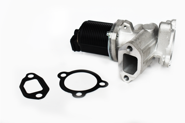 ASAM 73405 Supapa EGR