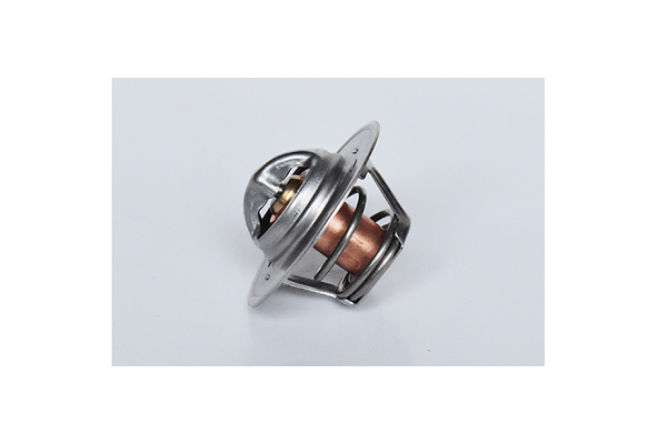 ASAM 73459 termostat,lichid...