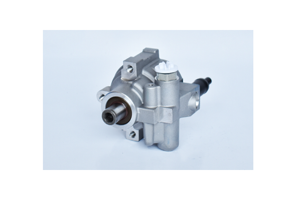 ASAM 73473 Pompa hidraulica...