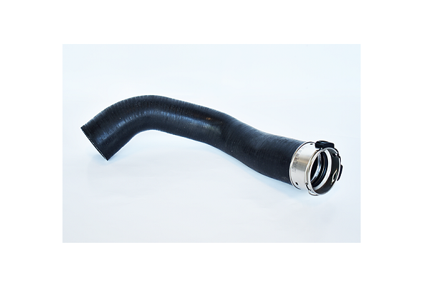 ASAM 73529 Furtun ear...