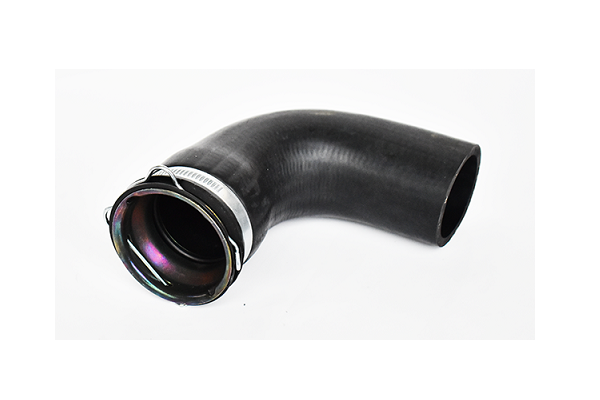 ASAM 73569 Furtun ear...