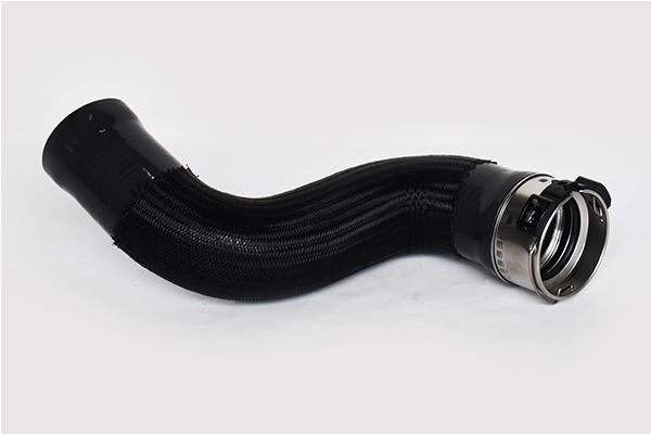 ASAM 73582 Furtun ear...