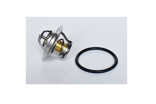 ASAM 73587 termostat,lichid...