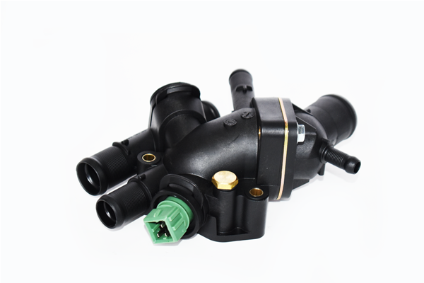 ASAM 73666 termostat,lichid...