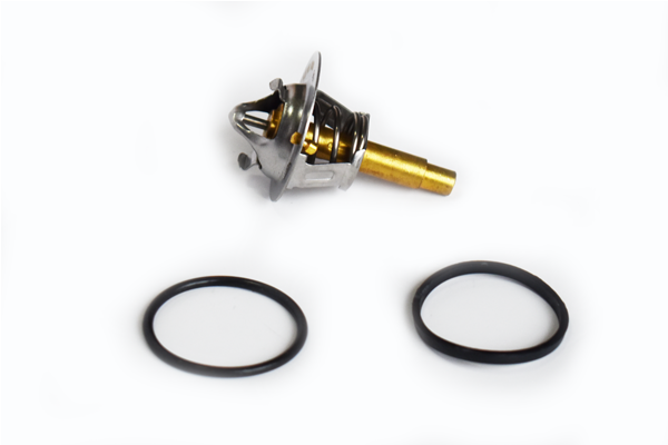 ASAM 73688 termostat,lichid...