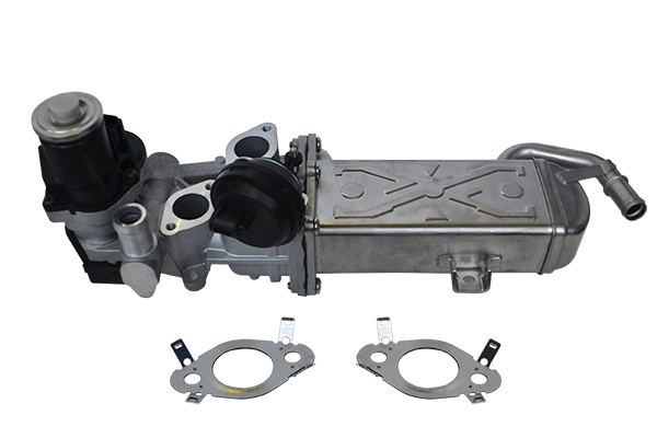 ASAM 74111 Supapa EGR