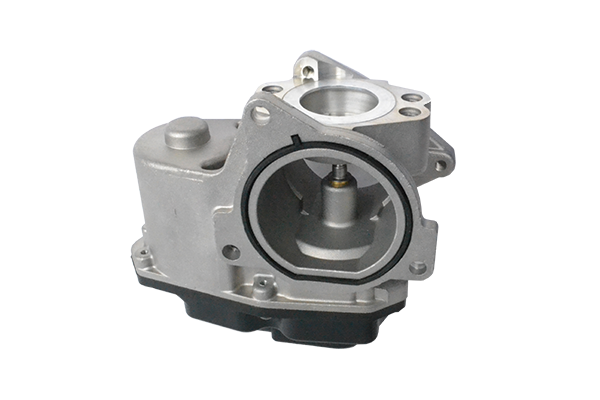 ASAM 74113 Supapa EGR