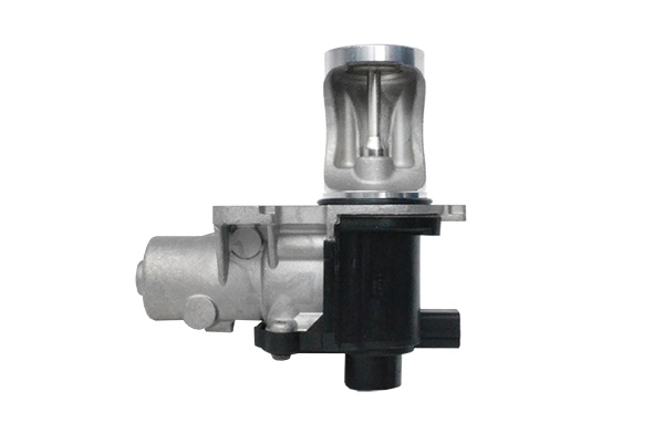 ASAM 74207 Supapa EGR