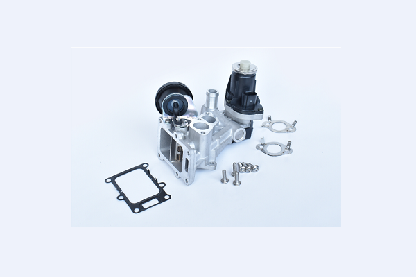 ASAM 74623 Supapa EGR