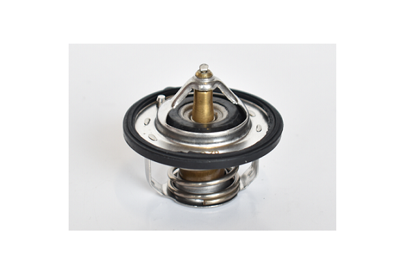 ASAM 75203 termostat,lichid...