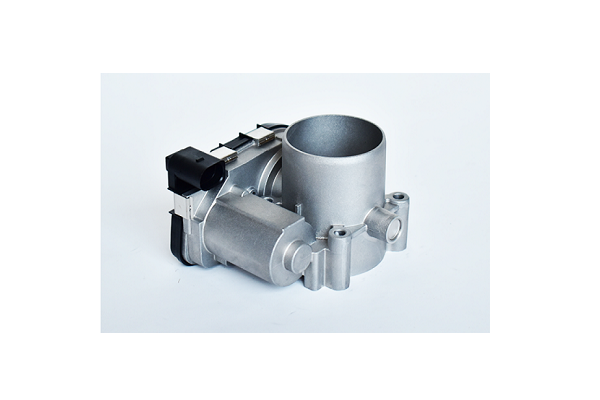 ASAM 75355 Carcasa clapeta