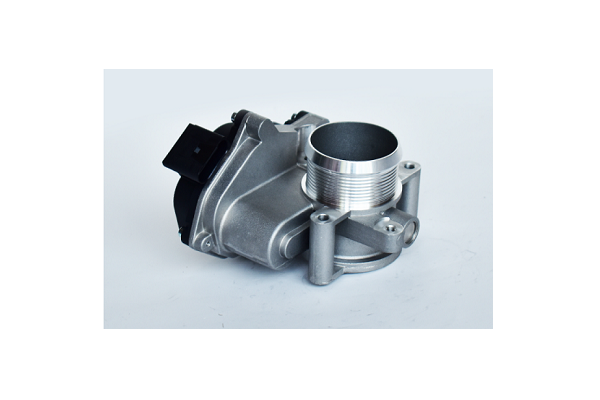 ASAM 75383 Carcasa clapeta