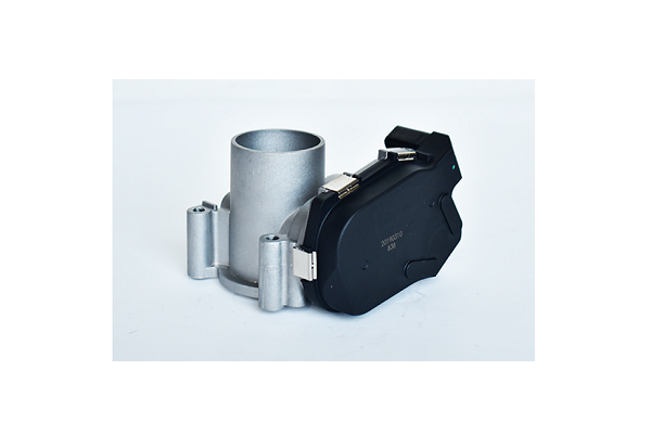 ASAM 75393 Carcasa clapeta