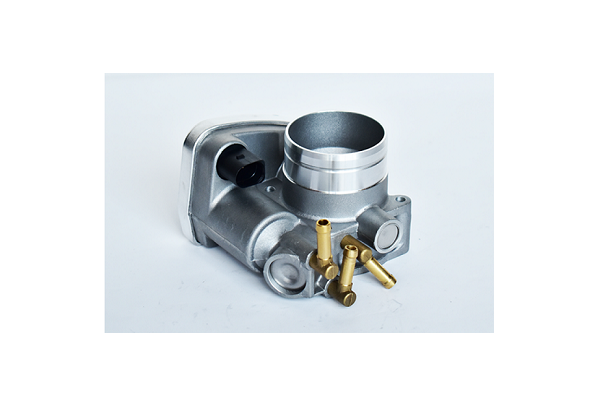 ASAM 75411 Carcasa clapeta